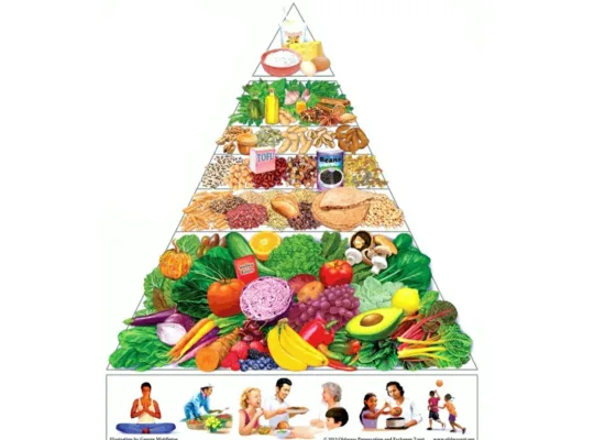 Introdução à Nutrição e Educação Alimentar